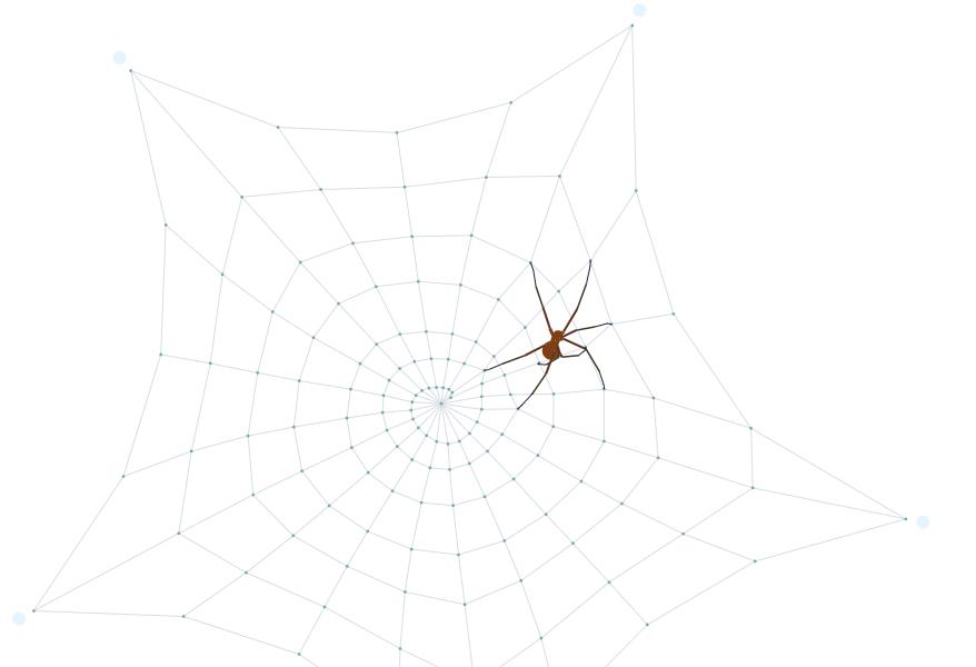 动态蜘蛛网可拖动背景